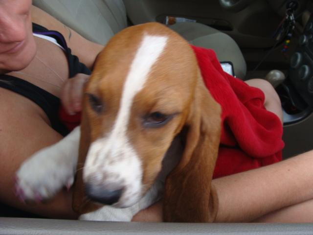 Baby Harkleroad with her Forever Mama Staci